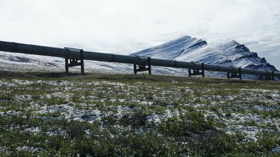 Rørsystem for transport av olje i Alaskas villmark er eksempel på infrastruktur  fundamentert på permafrost. 
