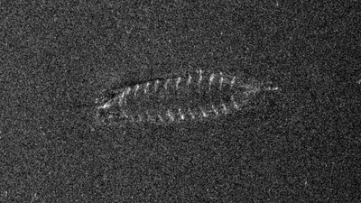 Bildet av vraket er tatt med sonar ved FFI. Ole Jacob Lorentzen, stipendiat ved UiO, har bidratt med signalbehandling.