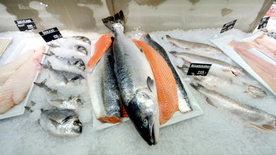 laks og annen fisk i fiskedisk.