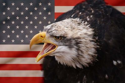 <p>Den amerikanske f&oslash;derale kommunikasjonskomiteen har vedtatt nye retningslinjer for nettn&oslash;ytralitet. Det er ikke ukontroversielt.</p>