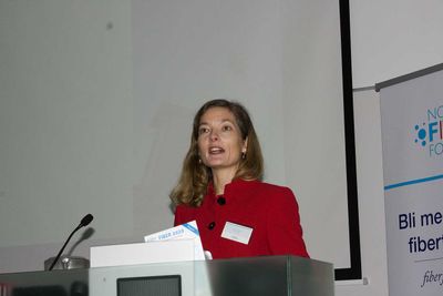 <p>Marit Wetterhus i Nexia er overrasket over at s&aring; f&aring; fylkeskommuner har en enhetlig framf&oslash;ringspolitikk.</p>