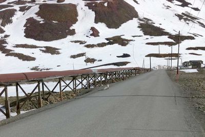Det er ikke alle erfaringer på Svalbard som kan overføres til fastlandet. For eksempel kan fiberkablene på enkelte strekk legges sammen med Longyearbyens fjernvarmeanlegg som ligger godt løftet over bakken. Estetikken er det ikke så farlig med i et landskap som mesteparten av året er preget av permafrost i bakken.
