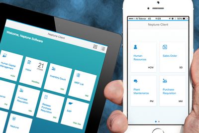 Gründerne i Neptune bygger sin teknoidé på problemer de selv møtte som SAP-utviklere - muligheten til å lage brukervennlige mobile grensesnitt.