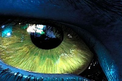 Kinoaktuelle Avatar lovprises for sine spesialeffekter, som er generert ved superanlegget til Weta Digital i New Zealand.