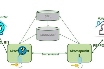 PEPPOL-infrastrukturen bygger på et nettverk av aksesspunkter. Leverandør sender fakturaen til sitt aksesspunkt, som slår opp i en katalog (ELMA er den norske katalogen) for å hvilket aksesspunkt kjøperen bruker, og sender fakturaen til dette aksesspunktet. PEPPOL BIS er EUs fakturaformat. Det norske formatet EHF tilfredsstiller PEPPOL BIS, men inneholder tillegg som følge av særnorske regler.