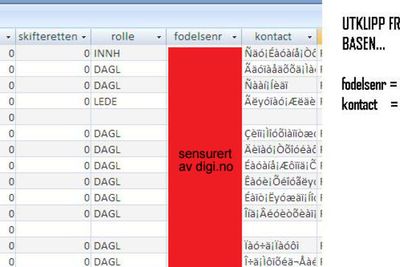 Slik fremstår dataene i Accesstabellen. Digi.no har sensurert innholdet i kolonnen for fødselsnummer. (Foto: skjermbilde)