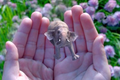 Slik demonstrerer Magic Leap teknologien sin. Hvordan brillene faktisk vil se ut er fortsatt uavklart.