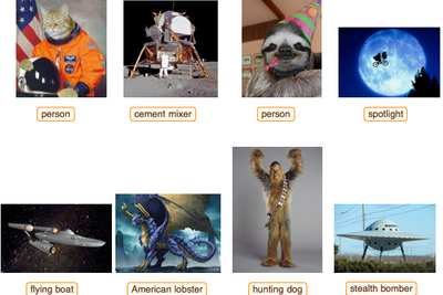 Stephen Wolfram testen teknologien med uventede bilder, og han innrømmer selv at det finnes svakheter. Verktøyet vil imidlertid utvikle seg selv videre desto mer det brukes. Den hårete wookieen fra Star Wars-universet ble identifisert som «hunting dog».