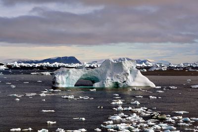 Isfjell ved Newfoundland.