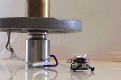 Robotene Stanford University-forskerne har laget kan dra opptil 2000 ganger sin egen vekt, noen av dem rett opp en vegg. 