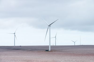 Raggovidda vindpark har til nå hatt en kapasitetsfaktor på hele 58,8 prosent. Turbinene har altså produsert 58,8 prosent av det de ville gjort hvis de hadde gått på full effekt hele tiden. Det er langt mer enn det som har vært vanlig ved andre vindkraftverk i Norge.