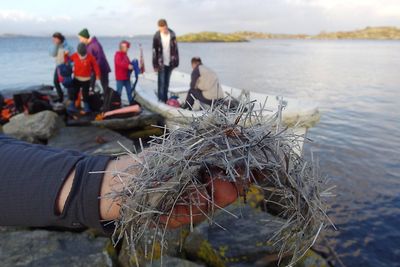 Statens vegvesen ble i fjor høst anmeldt for miljøkriminalitet av Naturvernforbundet, etter at store masser med plastfiber fra Ryfast-utbyggingen lekket ut i sjøen.