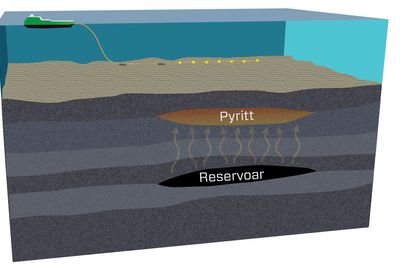 Når det lekker hydrokarboner fra reservoarene og kommer i kontakt med grunnvann som inneholder jern, dannes pyritt. Pyritt har elektrisk respons, og Faroe Petroleum mener reaksjoner på pyritt kan indikere at det er olje eller gass i nærheten. 