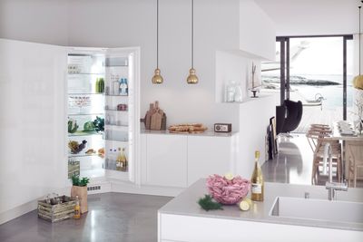 Etter å ha blitt nektet å selge kjølehjørner har Scandinavian Appliances laget et kjølehjørne, under merkenavnet Norcool, som oppfyller kravene i økodesignforskriften. 