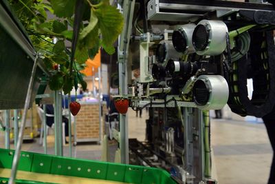 Den japanske landbruksmaskinprodusenten Shibuya Seiki har utviklet denne bærplukkende roboten, som ble demonstrert i Tokyo i fjor høst. I forhold til menneskehender sliter den foreløpig noe med tempoet, og plukker et bær hvert åttende sekund. Foto: AFP PHOTO/Yoshikazu TSUNO 