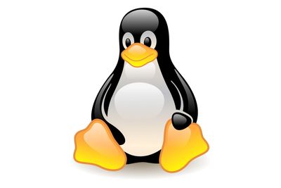  Linux som i 1991 ble startet som et dugnadsprosjekt, står nå på skuldrene til giganter.