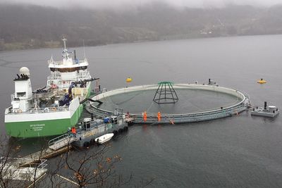 Forskning på oppdrett i lukket anlegg på Molnes i Skånevik. 