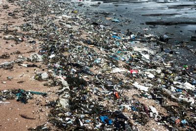 Ny app for søppeljegere: Finner du mye søppel langs stranda, kan du nå registrere alt fra plastikkgjenstander, sigarettstumper, flasker og fiskeutstyr i den nye appen LitterWatch. 