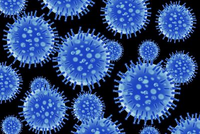 Nå skal influensaviruset oppdages tidligere slik at preventive tiltak kan iverksettes før store utbrudd.