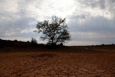 Klimapanelet advarer mot at verdens matproduksjon vil gå ned med 2 prosent på grunn av global oppvarming. Bildet viser et uttørket vannhull i Karoo i Sør-Afrika der lokalbefolkningen frykter at såkalt fracking, eller utvinning av skifergass, skal minske vannforsyningene og ødelegge den skjøre balansen i landbruket. 