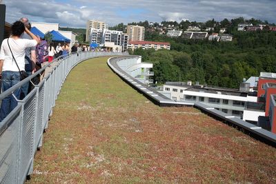 Grønne tak, som her på Dreieskiva i Kværnerbyen i Oslo, skal forsinke avrenningen og dermed bidra til bedre håndtering av overvann. 