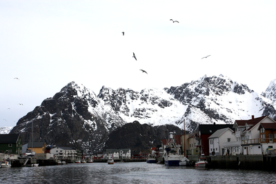 73 prosent av befolkningen sier ja til å utrede konsekvensene ved leting av olje og gass utenfor Lofoten, men bare 55 prosent tror petroleum og fiske kan leve side om side.