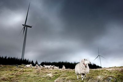 UNØDVENDIG: 230 vindkraftprosjekter har blitt meldt inn til NVE. Minst 150 av dem vil aldri bli realisert, mener NVE, som advarer mot unødvendig ressursbruk. FOTO: Håkon Jacobsen