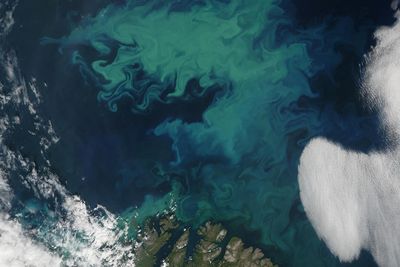 Barentshavet fotografert fra satellitt.