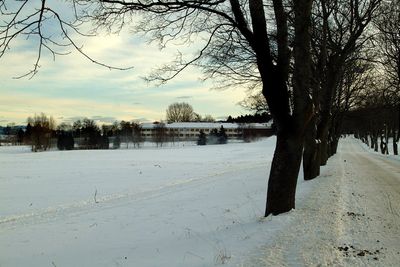 BRØSET: På Brøset ligger i dag det beryktede psykiatriske sykehuset Reitegjerdet. Nå skal det bli senter for en helt ny og miljøvennlig bydel.