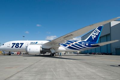 ANAs to første Boeing 787-8 Dreamliner har fått en spesiell dekor. I løpet av oktober skal flyet ha betalende passasjerer om bord - først på charter og deretter ruteflygninger innenriks.