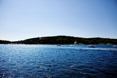 INGEN HENSYN: WWF mener Miljøverndepartementet ikke tar hensyn til risikoen for at fremmede arter kan skade marint plante- og dyreliv i Norge, ettersom forbudet mot å slippe ut ballastvann i norske havner ble opphevet fra 1. juli.