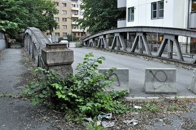 Vegetasjonen har fått fotfeste på brua som ikke har vært i bruk på over tre år. De som vil rive den og bygge ny, må gi anbud innen 16. august.