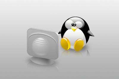 Symbolet på Linux - den lille, blide pingvinen - får hjelp av Novell til på bli enda bedre kjent.