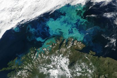OMSTRIDT: Befolkning, oljeindustri og myndigheter står midt i en kamp om å få lete etter mulige olje- og gassressurser i Barentshavet. Bildet er tatt om våren. De lyse feltene viser algeveksten i det næringsrike vannet.