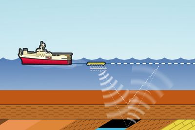 Seismikkrapporten skal også danne et viktig grunnlag for en arbeidsgruppe som innen 1. april skal legge fram forslag som skal minske konfliktene rundt seismikkskytingen.