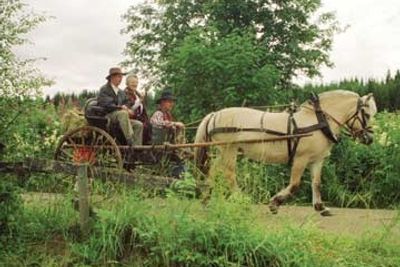 FÆRRE DOKUMENTARER: Kinosjefene i Norge vil ikke se DVD. Dermed vil dokumentarer som "Tradra - i går ble jeg tater" ikke bli vist på kino. FOTO: EUROPAFILM