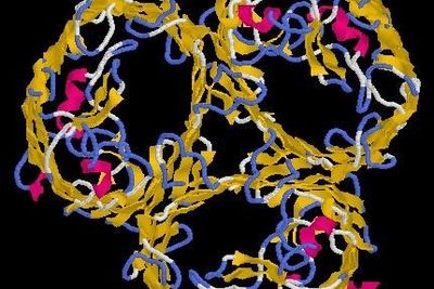 Nanoforskerne ser behov for å bygge et system som kan flerfoldiggjøre og isolere RNA eller DNA, system som oppdager sykdommer "in vivo", og teknikker for å produsere strenger av ønskede proteiner.