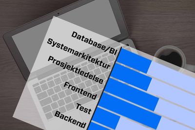 Et nytt år betyr en strøm av karrierebytter. Her kan du se hvilken IT-kompetanse norske arbeidsgivere mener vil bli mest etterspurt fremover.