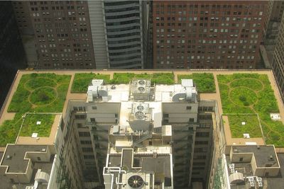 El-gress på taket: Forskere mener de har funnet en helt ny tilnærming til småskala energiproduksjon, som kan bidra til å gjøre husstander selvforsynte med strøm. Illustrasjonsbilde av Chicago city hall.