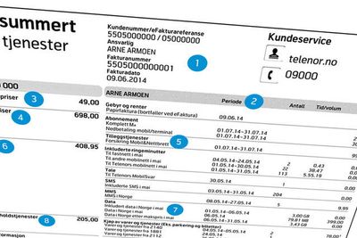 Analyse av kundeatferd blant annet hos Telenor skal bidra til bedre inntjening og redusere kostnader.