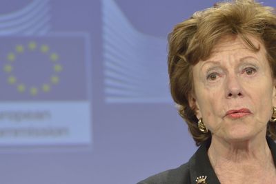 Neelie Kroes mener Europa må ta føringen for å bygge opp en global nettforvaltning som ikke lener seg på USA og som heller ikke gir økt spillerom til frihetsfiendtlige krefter.