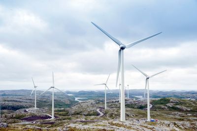 Hva er riktig i den opphetede debatten om vindkraft i Norge? TU har sjekket ni påstander om industriens skadevirkninger. Bildet er fra Ytre Vikna vindpark.