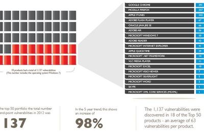 Bare i 18 av de 50 mest populære (Windows-)applikasjonene ble det funnet sårbarheter i fjor. Til gjengjeld ble det funnet svært mange sårbarheter i enkelte produkter.