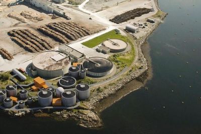 Slik blir det kommende biokraftanlegget som skal ligge vegg-i-vegg med Norske Skog Skogn på Fiborgtangen i Trøndelag.