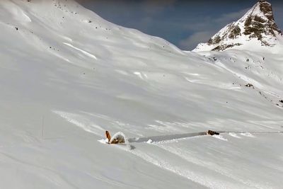 Video: Halgeir Dahle , Statens vegvesen