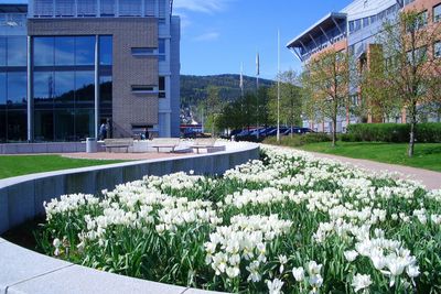 De nye kontorene TIL wsp liggeR på Union Brygge i et bygg som blant annet deles med NRK.