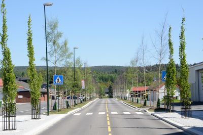Fylkesveg 234, også kjent som Rådhusveien, går gjennom Bjørkelangen som er kommunesenter i Aurskog-Høland. Den ble bygd om til miljøgate for fire år siden. Den som får driftskontrakten for Romerike øst, får ansvar for drift og vedlikehold av denne vegen.