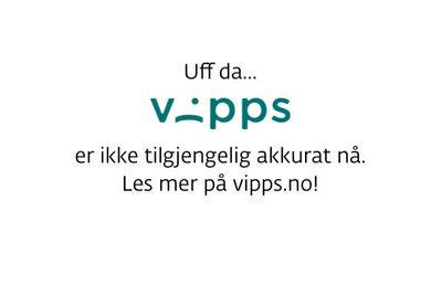 Betalingstjenesten Vipps var tirsdag kveld ute av funksjon.