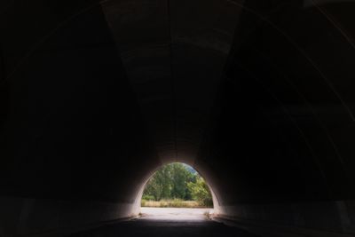 General view of a tunnel