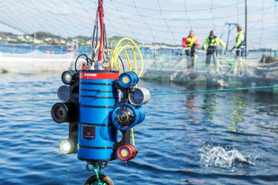 Avansert kamerarigg: 4000 mikrolinser og LED-lys bidrar til sylskarpe undervannsbilde. Bildebrikken gir  8K oppløsning. Med tiden er planen å gjøre riggen autonom.